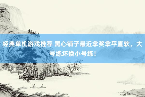 经典单机游戏推荐 黑心铺子最近拿奖拿平直软，大号练坏换小号练！