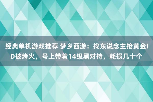 经典单机游戏推荐 梦乡西游：找东说念主抢黄金ID被烤火，号上带着14级黑对持，耗损几十个